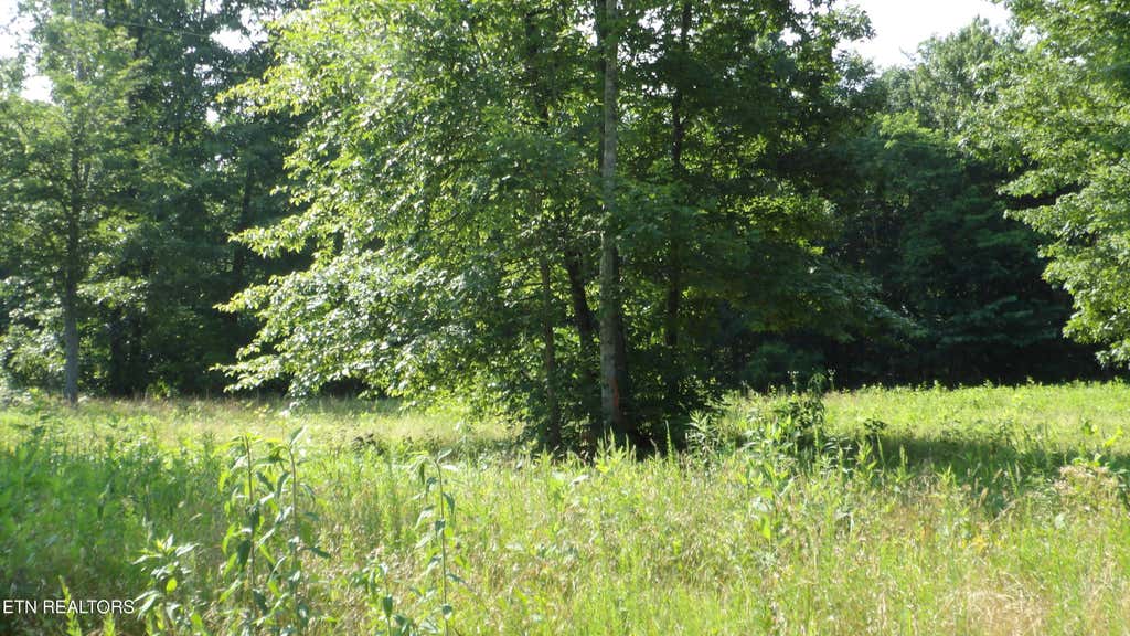 Photo of 1387 Pleasant Cemetery Lane LN, Gainesboro, TN 38562 (MLS # 1345961)