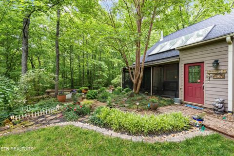 5009 Big Springs Rd Friendsville TN 37737