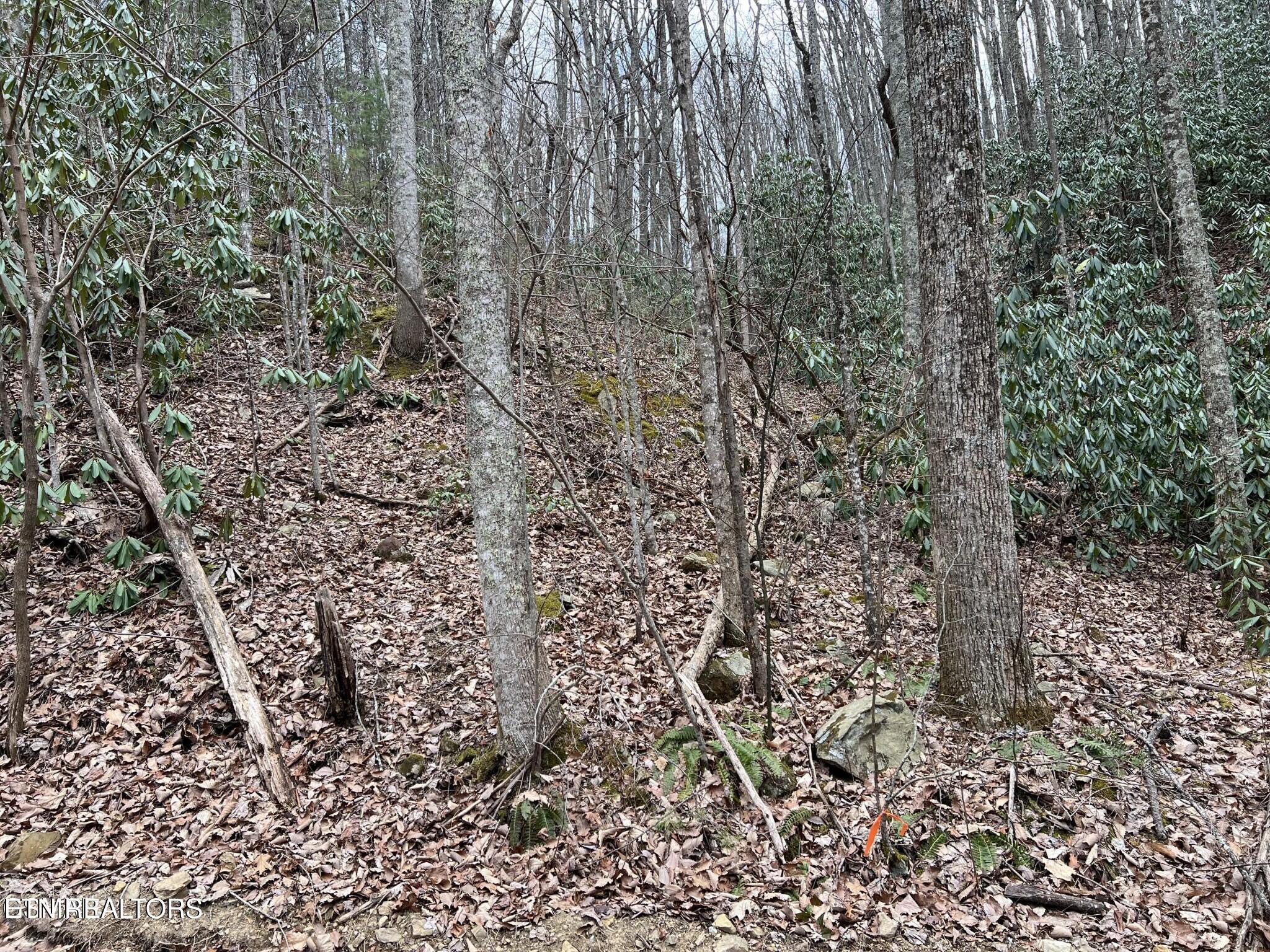 John Sevier Drive