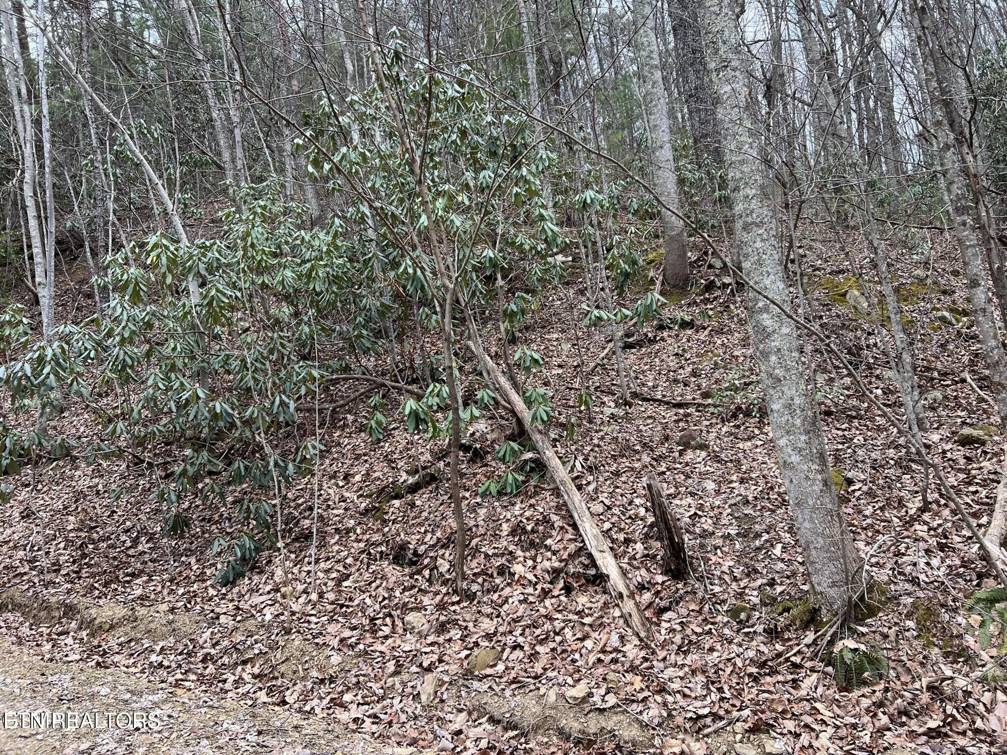 John Sevier Drive