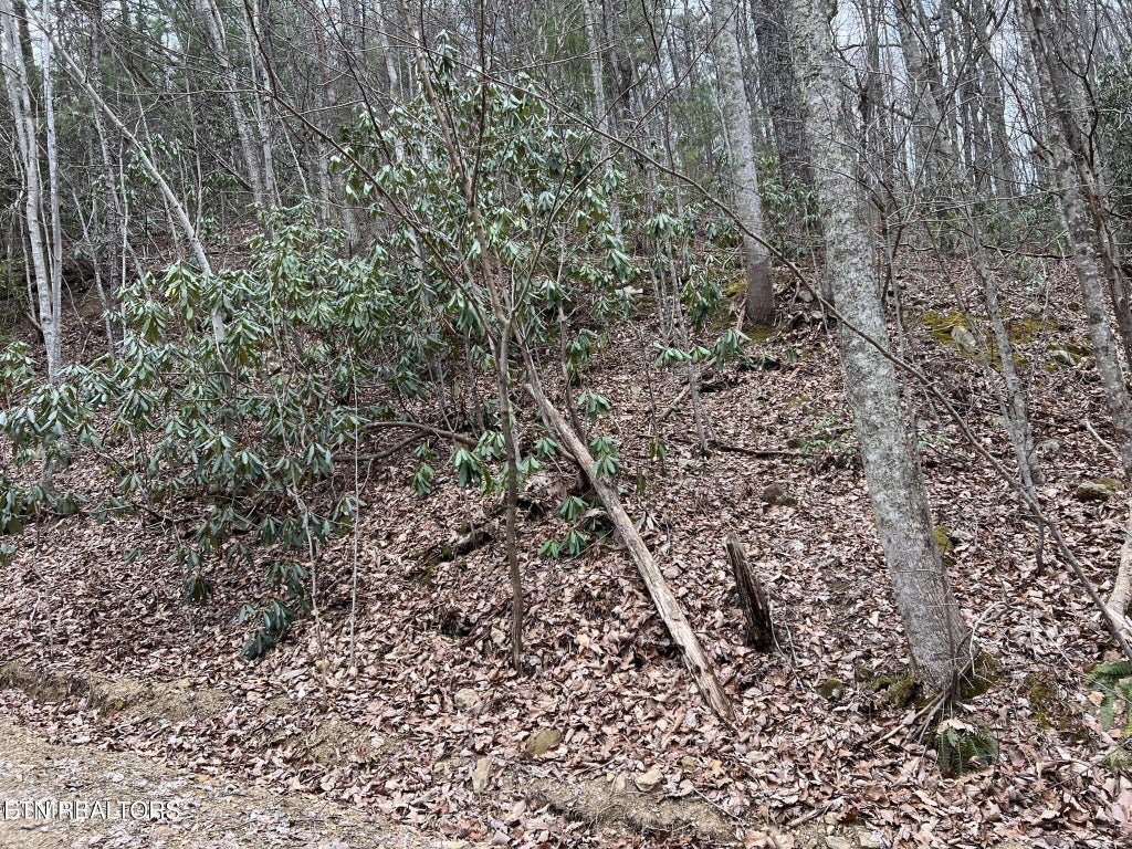 Photo of John Sevier Drive, Sevierville, TN 37876 (MLS # 1358626)