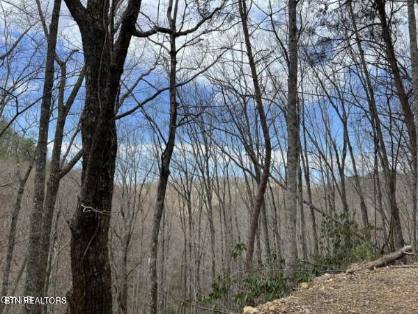 Photo of John Sevier Drive, Sevierville, TN 37876 (MLS # 1358626)