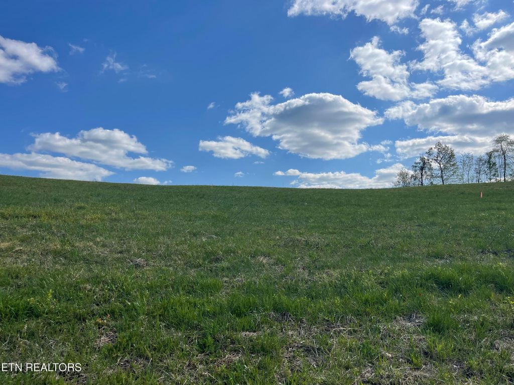 Photo of 1 Laura Boling Loop Rd, Strawberry Plains, TN 37871 (MLS # 1297302)