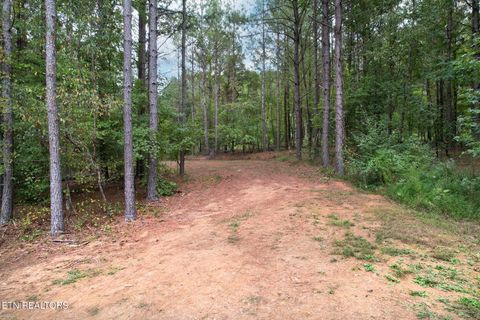 Tiny photo for 2519 Lower River Rd, Decatur, TN 37322 (MLS # 1315948)