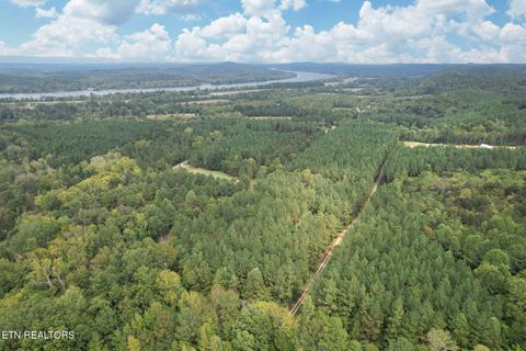 Tiny photo for 2519 Lower River Rd, Decatur, TN 37322 (MLS # 1315948)