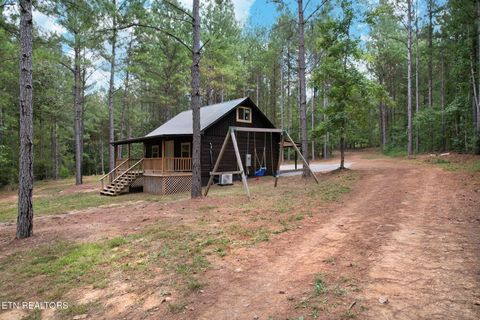 Tiny photo for 2519 Lower River Rd, Decatur, TN 37322 (MLS # 1315948)
