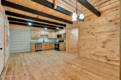 Tiny photo for 2519 Lower River Rd, Decatur, TN 37322 (MLS # 1315948)