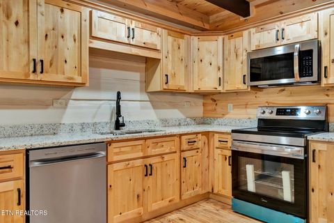 Tiny photo for 2519 Lower River Rd, Decatur, TN 37322 (MLS # 1315948)