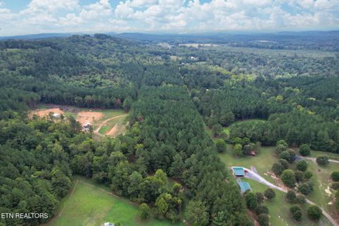 Tiny photo for 2519 Lower River Rd, Decatur, TN 37322 (MLS # 1315948)