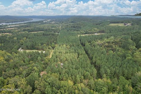 Tiny photo for 2519 Lower River Rd, Decatur, TN 37322 (MLS # 1315948)