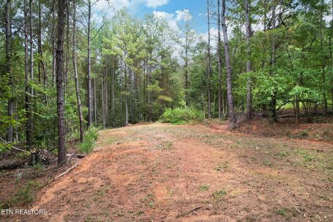 Tiny photo for 2519 Lower River Rd, Decatur, TN 37322 (MLS # 1315948)