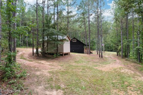 Tiny photo for 2519 Lower River Rd, Decatur, TN 37322 (MLS # 1315948)