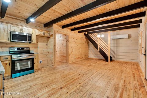 Tiny photo for 2519 Lower River Rd, Decatur, TN 37322 (MLS # 1315948)