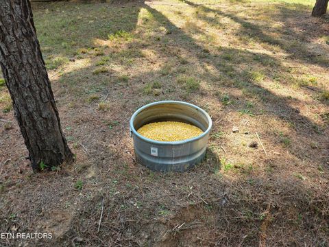 Tiny photo for 2519 Lower River Rd, Decatur, TN 37322 (MLS # 1315948)