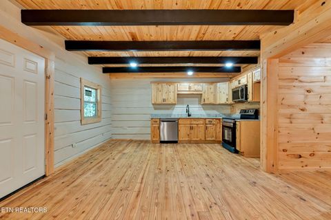 Tiny photo for 2519 Lower River Rd, Decatur, TN 37322 (MLS # 1315948)