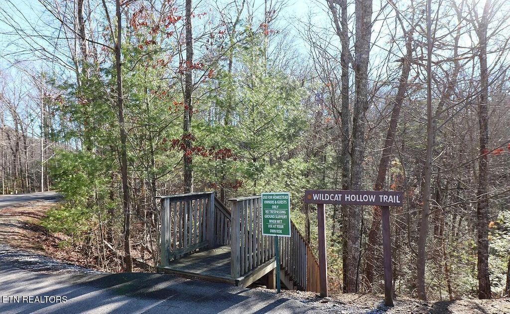 Photo of Whetstone Rd, Sevierville, TN 37862 (MLS # 1349401)