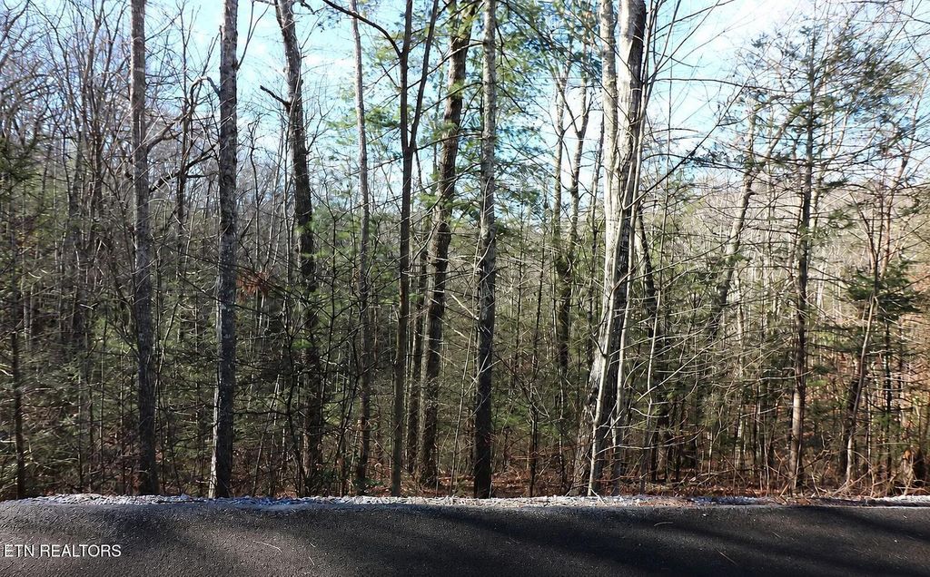 Photo of Whetstone Rd, Sevierville, TN 37862 (MLS # 1349401)