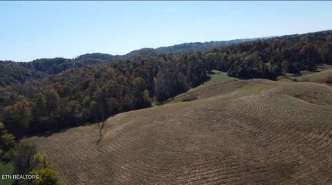 Tiny photo for 1210 Povo Rd RD, Madisonville, TN 37354 (MLS # 1360296)