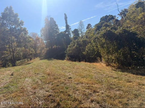 Tiny photo for 1210 Povo Rd RD, Madisonville, TN 37354 (MLS # 1360296)