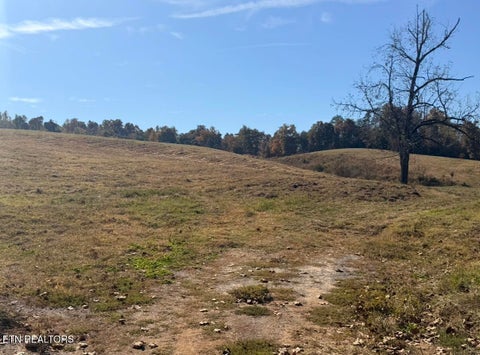 Tiny photo for 1210 Povo Rd RD, Madisonville, TN 37354 (MLS # 1360296)
