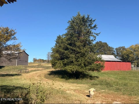 Tiny photo for 1210 Povo Rd RD, Madisonville, TN 37354 (MLS # 1360296)