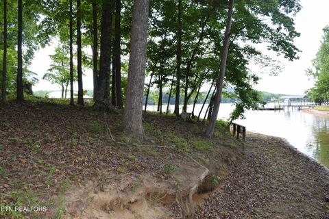 Tiny photo for 216 Blue Herron Way, Ten Mile, TN 37880 (MLS # 1341639)