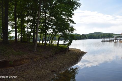 Tiny photo for 216 Blue Herron Way, Ten Mile, TN 37880 (MLS # 1341639)