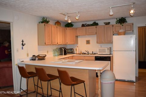 Tiny photo for 216 Blue Herron Way, Ten Mile, TN 37880 (MLS # 1341639)