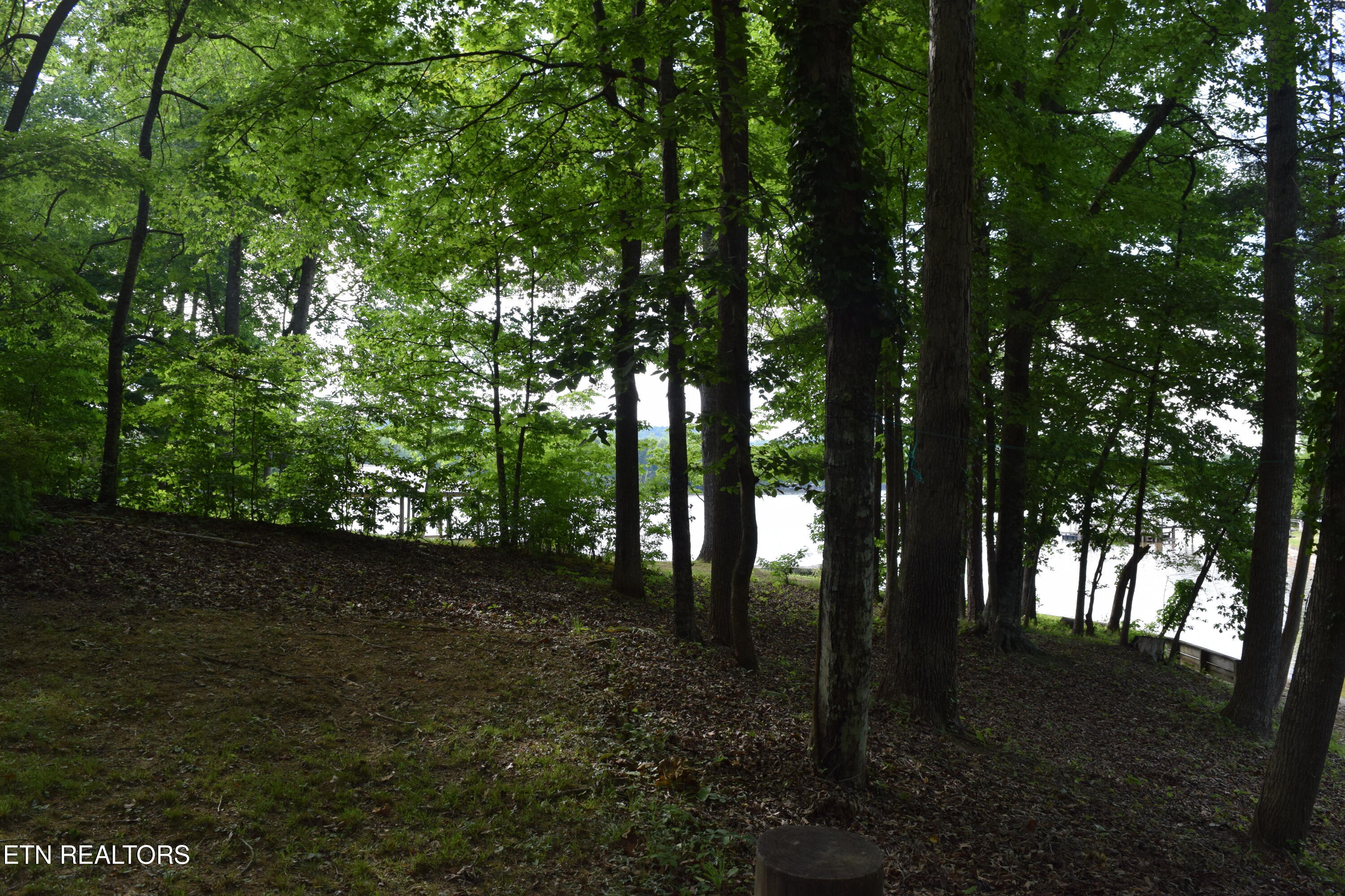 216 Blue Herron Way