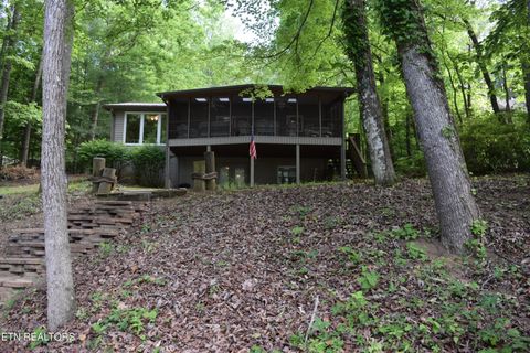 Tiny photo for 216 Blue Herron Way, Ten Mile, TN 37880 (MLS # 1341639)