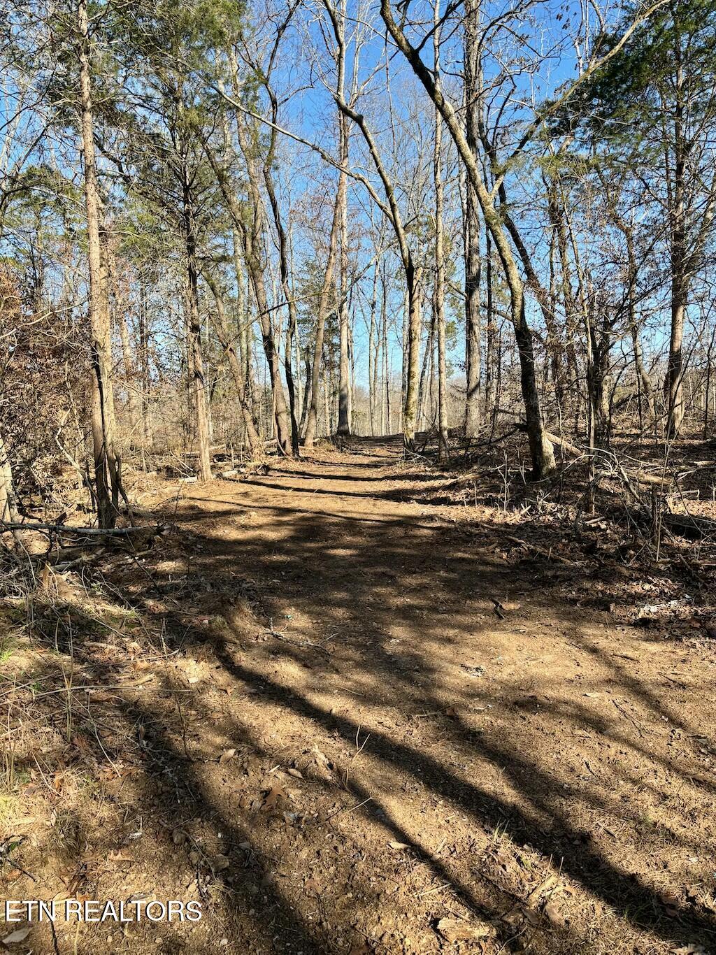 Dogwood Valley Rd | Lot 3