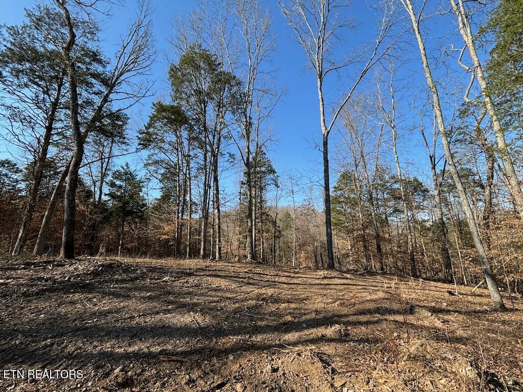 Dogwood Valley Rd | Lot 3