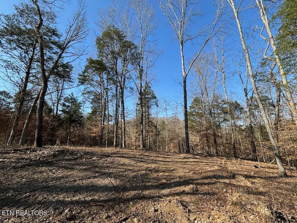 Photo of Dogwood Valley Rd | Lot 3, Kingston, TN 37763 (MLS # 1281845)