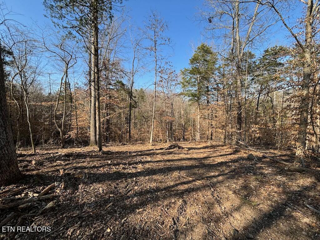Dogwood Valley Rd | Lot 3