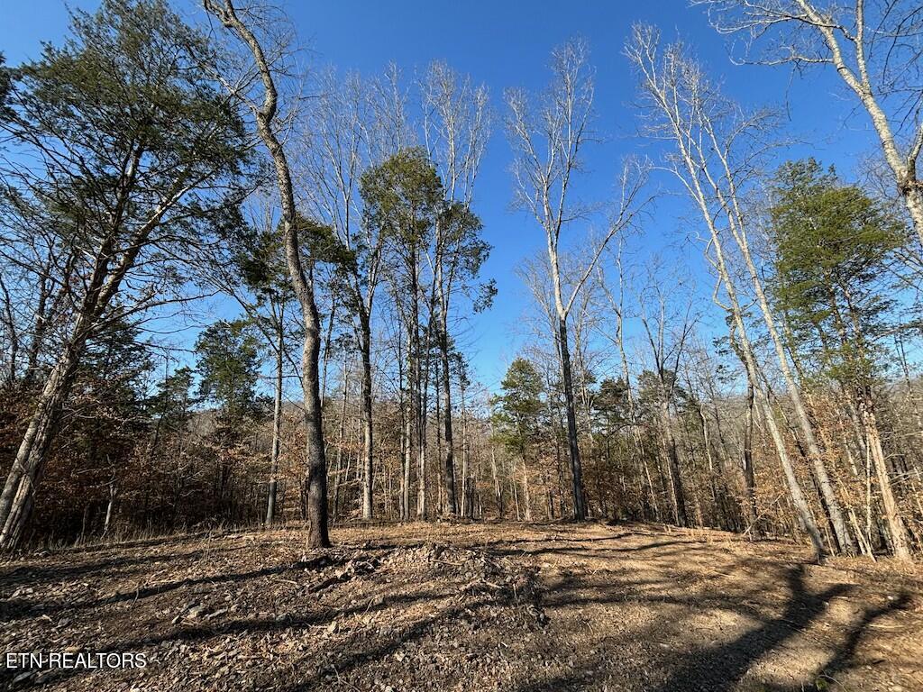 Dogwood Valley Rd | Lot 3