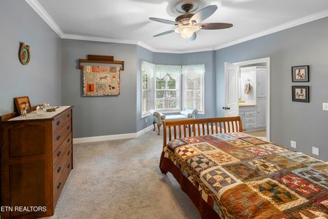 Tiny photo for 514 Enigma Code Way, Friendsville, TN 37737 (MLS # 1317798)