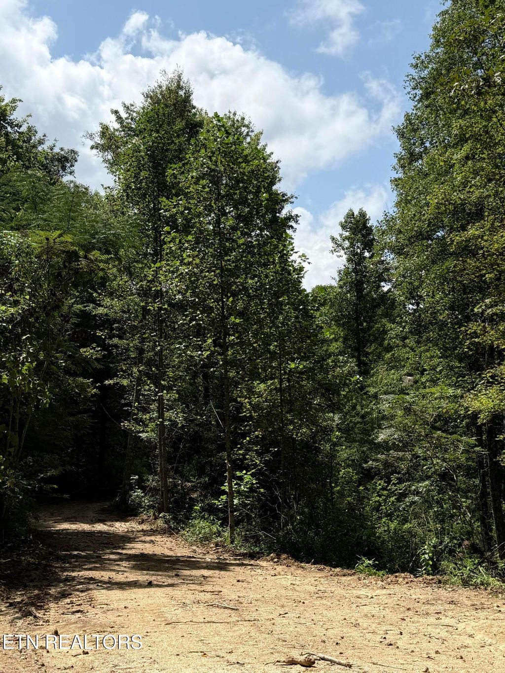 Photo of 1055 Big Four Rd, LaFollette, TN 37766 (MLS # 1327303)