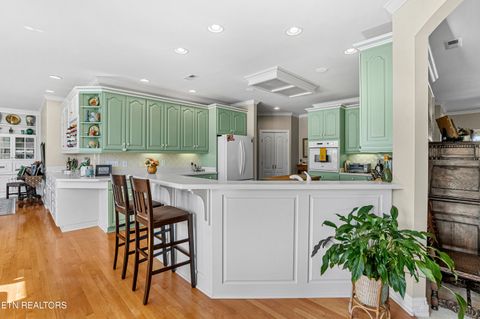 Tiny photo for 310 Pineberry Drive, Vonore, TN 37885 (MLS # 1321071)