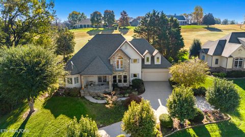 Tiny photo for 310 Pineberry Drive, Vonore, TN 37885 (MLS # 1321071)