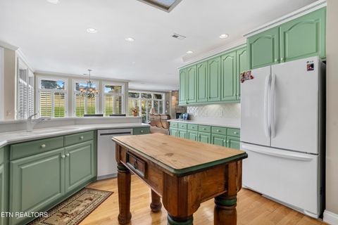 Tiny photo for 310 Pineberry Drive, Vonore, TN 37885 (MLS # 1321071)