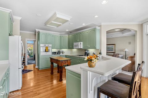 Tiny photo for 310 Pineberry Drive, Vonore, TN 37885 (MLS # 1321071)