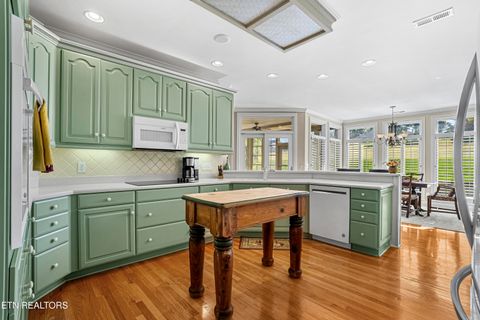 Tiny photo for 310 Pineberry Drive, Vonore, TN 37885 (MLS # 1321071)