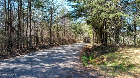 Tiny photo for 357 Jd Farm Rd, Tellico Plains, TN 37385 (MLS # 1332739)
