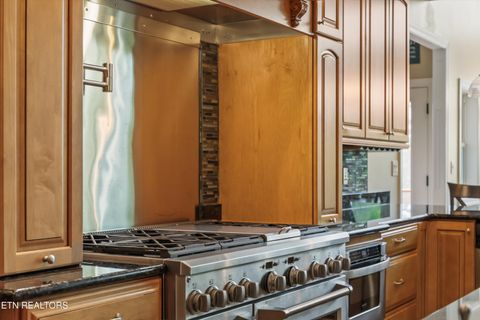 Tiny photo for 3648 Foxfire Way, Sevierville, TN 37876 (MLS # 1337567)
