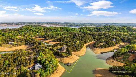 Tiny photo for 3648 Foxfire Way, Sevierville, TN 37876 (MLS # 1337567)