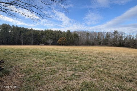 Tiny photo for 1680 Doc Loy Rd, Grandview, TN 37337 (MLS # 1327829)