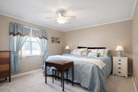 Tiny photo for 1680 Doc Loy Rd, Grandview, TN 37337 (MLS # 1327829)