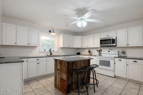 Tiny photo for 1680 Doc Loy Rd, Grandview, TN 37337 (MLS # 1327829)