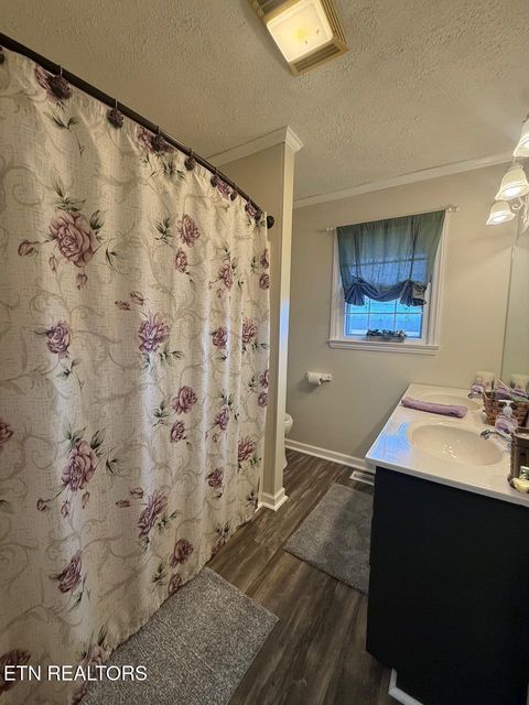 Tiny photo for 1680 Doc Loy Rd, Grandview, TN 37337 (MLS # 1327829)