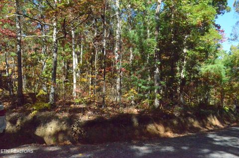 Photo of Lakeshore Drive, Tallassee, TN 37878 (MLS # 1319372)